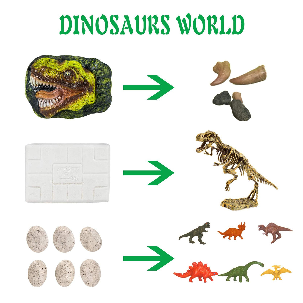 Premium STEM Fossil Digging Kit