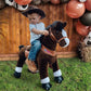 Ponycycle Ride On Horse Toy Walking Rocking Horses Classic Model U (With Brake/ 36' Height/Size 4 For Age 4-8 Boy Gifts) Ride Horse Giddy Up Pony Animal Toys Chocolate Brown Ux421