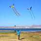 Butterfly Kite For Kids & Adults Easy To Fly, 55'' X 28'' Large Single Line For The Beach, Easy Flying Kite Comes With 300 Ft St