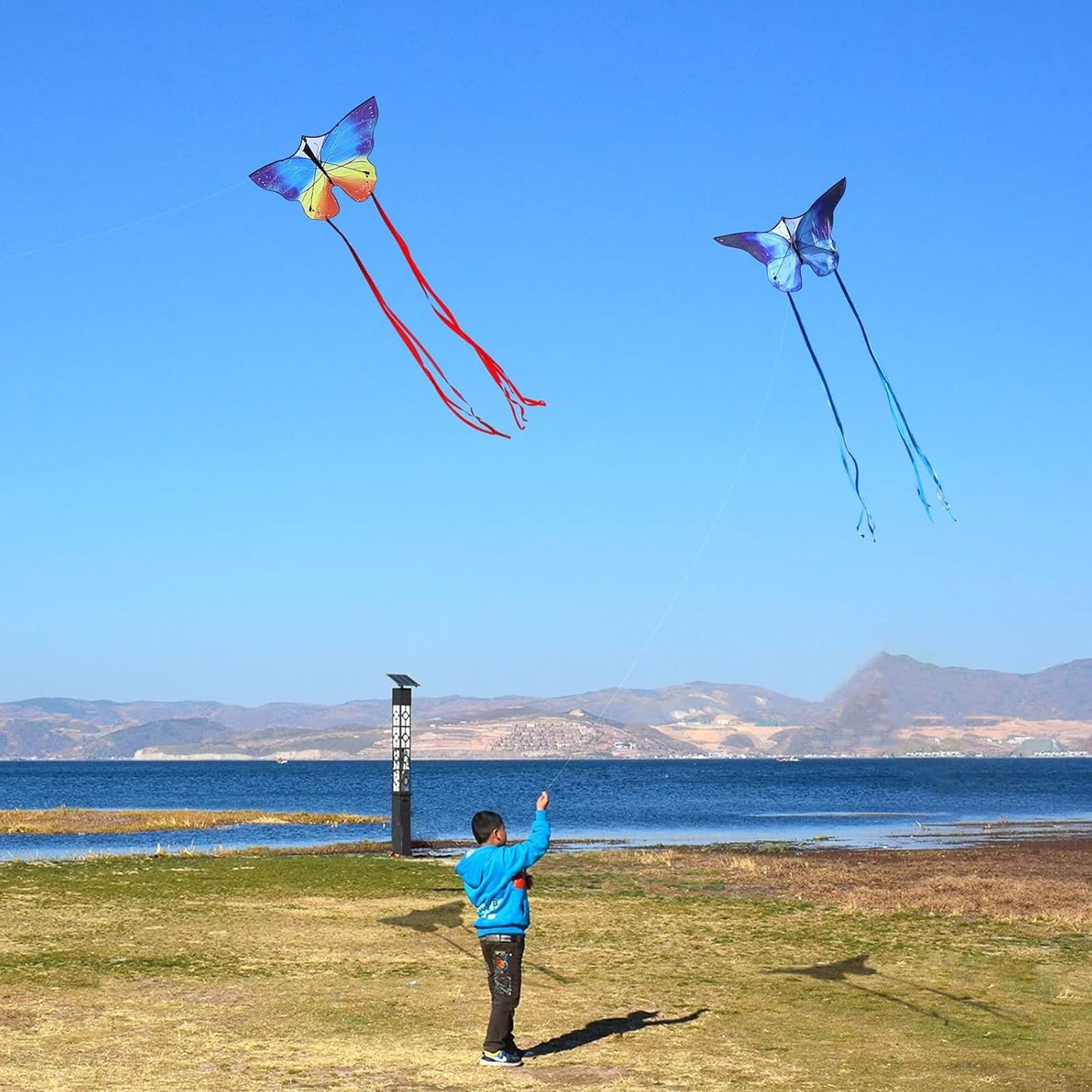 Butterfly Kite For Kids & Adults Easy To Fly, 55'' X 28'' Large Single Line For The Beach, Easy Flying Kite Comes With 300 Ft St