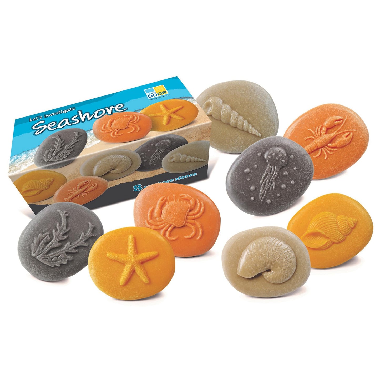 Lets Investigate  Seashore, Set of 8 Stone Figures