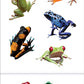 Playhouse Pack of Three Perforated Sticker Half-Sheets for Crafts, Trading & Collecting - Rainforest Frogs 1 Pack
