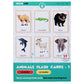 The Brain Lab Early Learning Animal Flash Cards For Kids, Illustrated Cards, Educational Learning Set For 12+ Months, Academia C