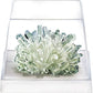 4M Deluxe Crystal Growing Combo Steam Science Kit From Steam Powered Kids, For Boys & Girls Ages 10+