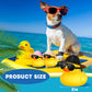 Chivao 12 Pcs Mini Rubber Ducks With Sunglasses/ Glasses And Hats/ Necklace, Cruise Rubber Ducks In Bulk Valentine'S Day Gift Small Duck Bathtub Toy For Hiding Party Favor(Yellow, Adorable Style)