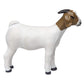 Little Buster Toys Grand Doe Show Goat, White with Brown Head, One Size, Plastic, Model 200895