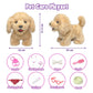 Yh Yuhung Walking Dog Toy For Kids With Leash, Remote Control Toy Puppy That Can Walks, Barks, Feeds, Sits Down And Wag Its Taii, Interactive Golden Retriever Stuffed Dog For Kids 3+ Years Old