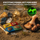 Playz Fossil Digging Kit For Kids Ages 6-12 - Dinosaur Fossil Excavation Tools, Paleontology Volcano Lab & Mining Activity Set