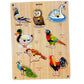 Birds Picture Puzzle Board with 8 Knob, Learning Wooden Puzzle Board for Kids (Multicolor)