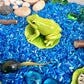 Pond Life Cycle Sensory Kit And Water Play