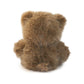 Honeywood Bear: A Plush Toy for Caregivers, Nurturers, and Comfort Givers
