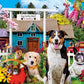 Dog Country Resort 1000 Pc