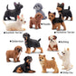 Eyscota 12Pcs Dog Figurines, Realistic Plastic Puppy Figurines, Hand Painted Emulational Tiny Dogs Animals Toy, Dog Cake Topper