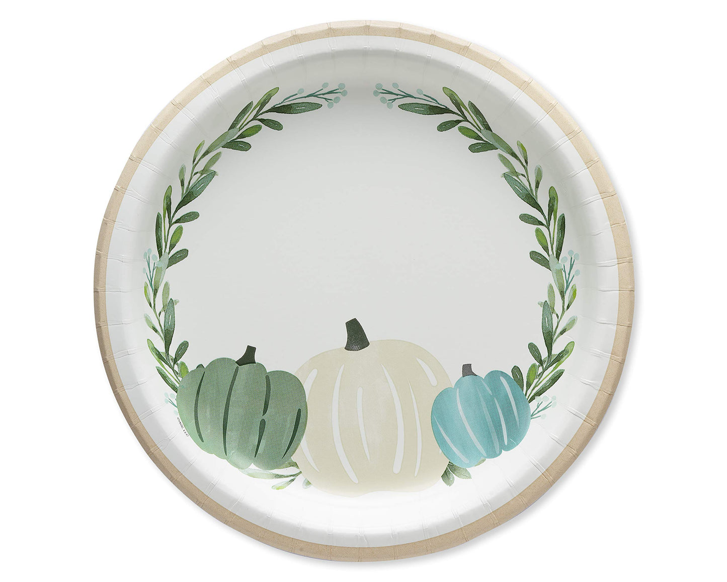 American Greetings 36-Count 9 in. Paper Dinner Plates, Pumpkin Thanksgiving Party Supplies