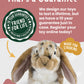 Living Nature Brown Dutch Lop Eared Rabbit Stuffed Animal | Fluffy Rabbit Animal | Soft Toy Gift For Kids | 10 Inches