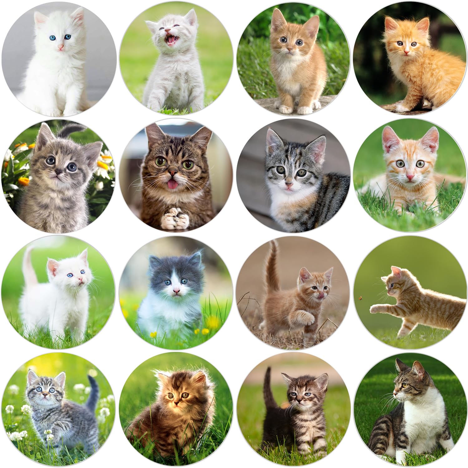 Hohamn Cat Stickers for Kids Teachers 1.5 Inch 600Pcs Cat Stickers for Kids Birthday Party School Reward Giveaways