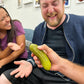 DR DINGUS Yodeling Pickle - 2 Pack - Green Medium Singing Gag Gift for Friends & Family