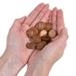 LEARNING ADVANTAGE Play Pennies - Set of 100 Plastic Coins for Teaching Money Math - Realistic US Currency Size