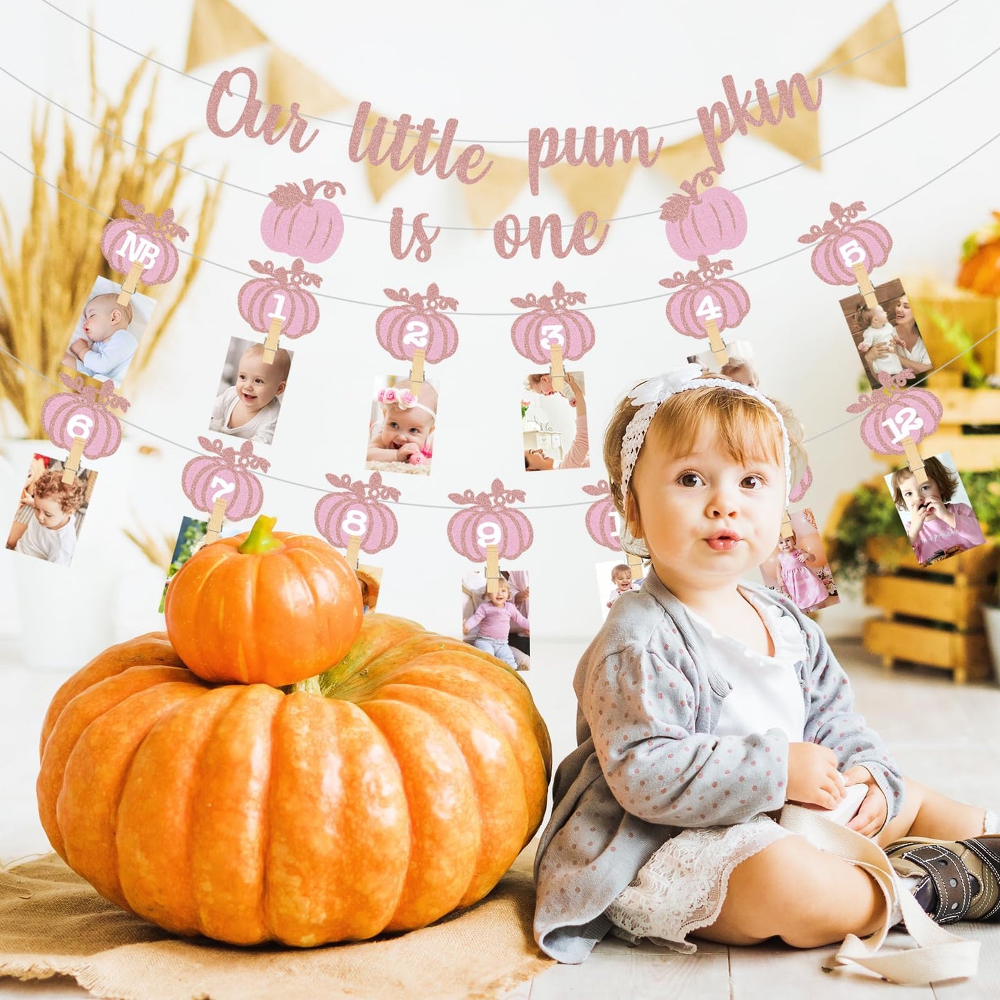 Pink Fall Pumpkin 1St Birthday Photo Banner Pumpkin Birthday Photo Banner For Newborn To 12 Months Milestone Photograph Bunting