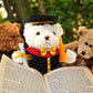 Set Of 1 Graduation Teddy Bear Clothes Cap & Gow Outfit Fits Make Your Own Most 14'' - 18'' Bear Plush Stuffed Animal Outfit Pet