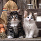 Clementoni ''Cute Kittens Puzzle (1000 Piece)
