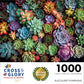 Cross & Glory 1000 Piece Jigsaw Puzzle - Succulent Symphony, Large, Premium Quality Cardboard, Colorful Artwork, Model CG-M-021