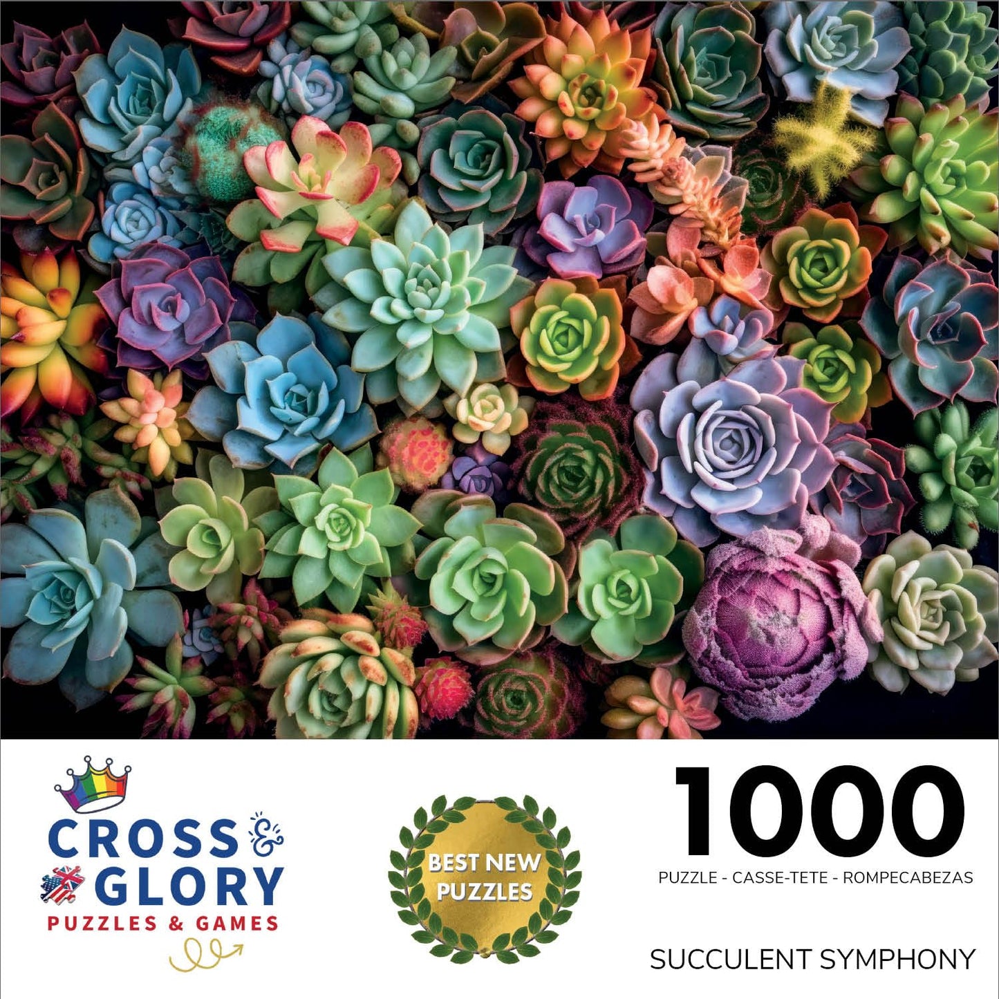 Cross & Glory 1000 Piece Jigsaw Puzzle - Succulent Symphony, Large, Premium Quality Cardboard, Colorful Artwork, Model CG-M-021