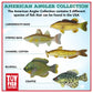 Toy Fish Factory American Angler Toy Fish Set - Miniature Largemouth Bass, Crappie, Bluegill, Catfish, Striped Bass - Multicolor, Plastic
