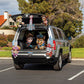 Paw Patrol Movie Paw Patrol Treat Your Trunk Kit