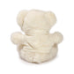 12-inch Fashionable Good Vibes Bear with Brown Hoodie