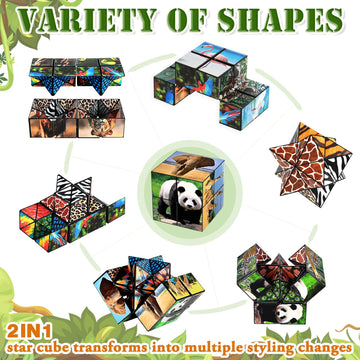 Euclidean Cube 2 in 1 Star Cube Magic Set, Multicolor Infinity Fidget Toy for Kids Ages 8-13, Model 0517E