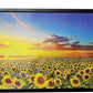 1000 Pieces Puzzles for mature-themeds  Sunflower Jigsaw Puzzle 1000 Piece Sunflower Fields Puzzles for mature-themed  1000 Pieces Jigsaw Puzzle for mature-themeds Seniors Teens Challenging Puzzle Gift