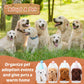 Motionchic 20 Pcs Mini Stuffed Animals Plush Toy Set Includes 20 Birthday Hats 20 Kraft Paper Boxes For Boys And Girls Animal Th