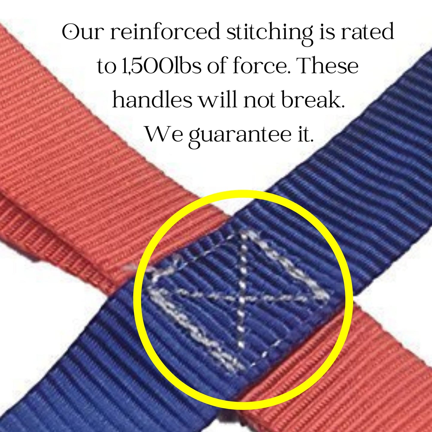 The Learning Classroom Walking Rope - Blue Nylon 2-Pack (12+4 Child)