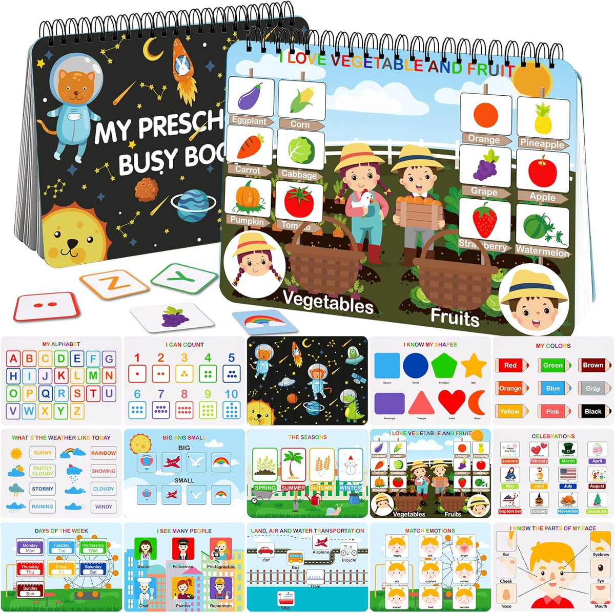 Preschool Montessori Color Learning Binder