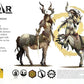 Steamforged Games Godtear Champions Set - Kailinn, The Fury of The Forest, Mixed Colours, Cardboard, Model SFGT-029