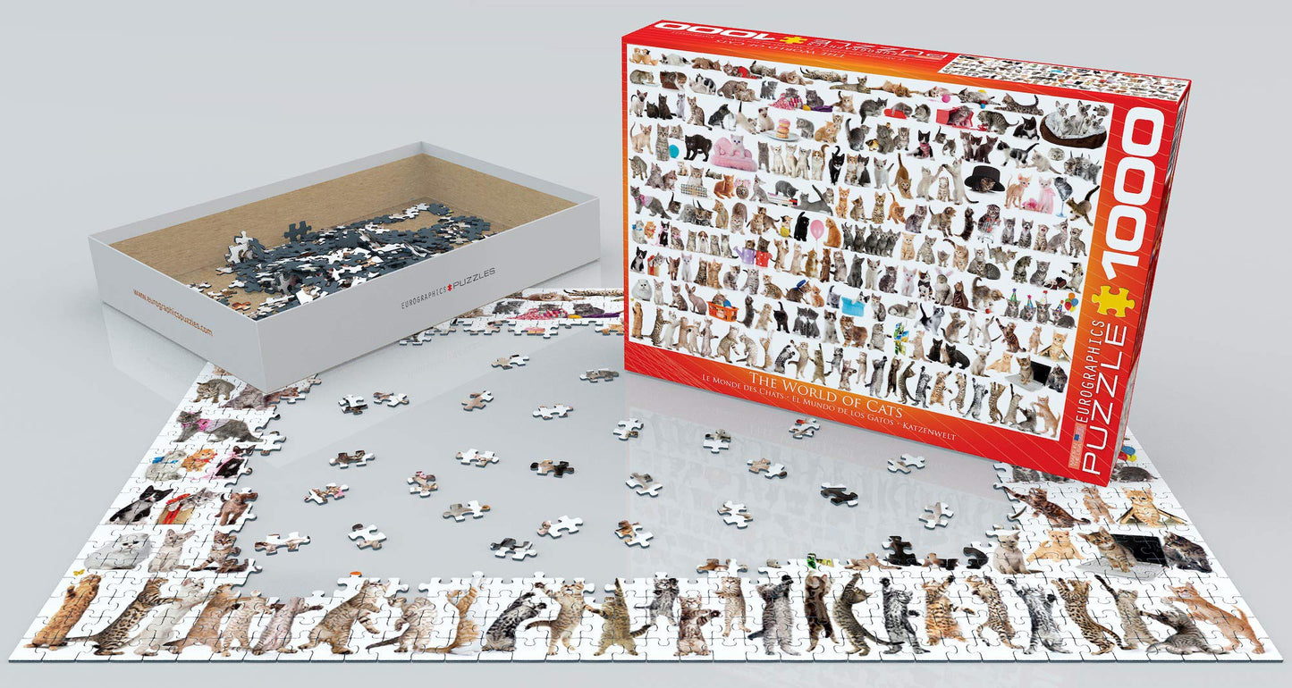 The World Of Cats
