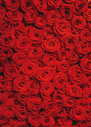 INRUI Red Rose Floral Wedding Photography Backdrop, 8x10FT Vinyl, Model RUINI_Flower034