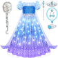 G.C Girls Light Up Elsa Costume Dress Princess Dress Up Clothes With Cape Toddler Kids Wig Crown Halloween Cosplay