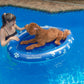 Poolcandy Inflatable Pet Float - Easy Set Up Doggy Pool Floats (Up-To 100Lb Paw Large)