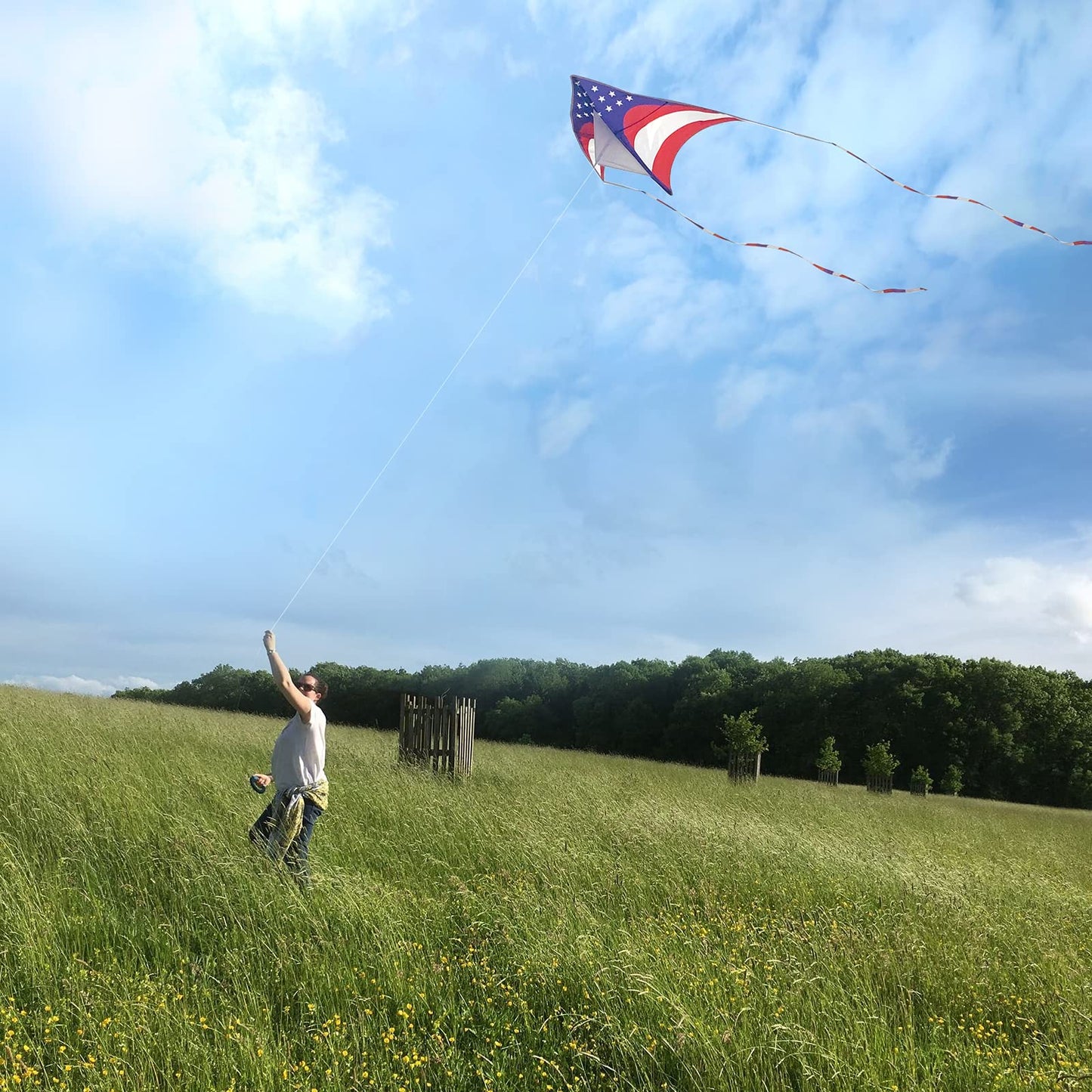 Mint'S Colorful Life Delta Kite For Kids & Adults, Extremely Easy To Fly Kite, Best Kite For Beginner (American Flag)