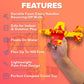 Airplane Toy Foam Glider Plane For Kids: Pool Toys & Coolest Gift For 7 Year Old Boys & Girls - Beach Toys Gift Ideas For All Ag