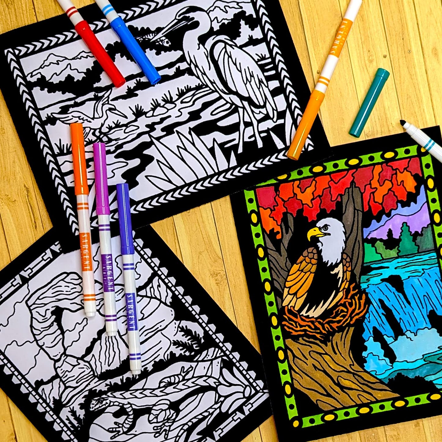 Super Pack of 18 Fuzzy Velvet Coloring Posters (National Parks Edition) - Great for Family Time, Arts & Crafts, Travel, At Home,