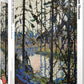 Study For Northern River By Tom Thomson