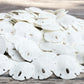 Real Sand Dollars Under 1 (200 Pack) - Sand Dollar Wall Art & Ornament Set - Beach Wedding Decor - Nautical Party Table Decor -