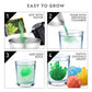 National Geographic Mega Crystal Growing Kit For Kids- Grow 8 Crystals With Light-Up Stand, Science Gifts For Kids 8-12, Crystal Making Experiment, Science Kit For Girls And Boys