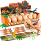 Zippytots Dino Eggs Excavation Dig Kit-12 Unique Dinosaur Eggs With Educational Learning Cards -Easter Eggs Stem Science Activit