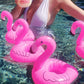 Inflatable Drink Holder 3 Pack Flamingo Drink Pool Floats Cup Holders for Summer Pool Party, Variety Shape to Choose