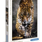 Clementoni Walk Of The Jaguar 1000 Piece Jigsaw Puzzle For Adults