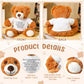 Lenwen a Bear Hug Gift Get Well Soon Bear Sympathy Gift for Women Plush Stuffed Animal Hug Thinking of You Condolences Memorial